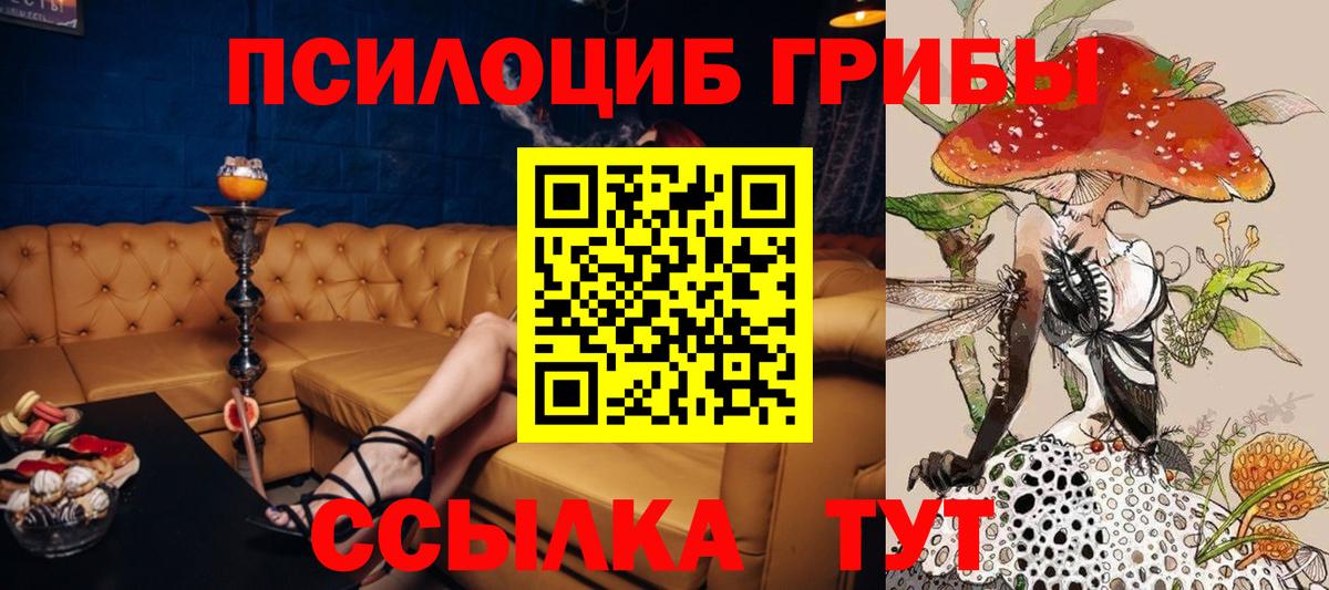 Михайловка  Псилоцибиновые грибы мицелий  Галлюциногенные грибы MAGIC MUSHROOMS  Вход с VPN 